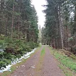 펜션 Grebenzen Edelweiss