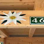 펜션 Grebenzen Edelweiss 상트램브레흐트