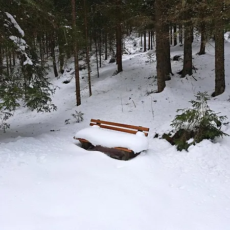 Prázdninový dům Grebenzen Edelweiss Sankt Lambrecht