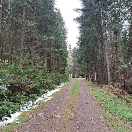 Grebenzen Edelweiss Feriehus Sankt Lambrecht