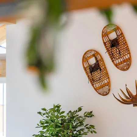 Grebenzen Edelweiss *