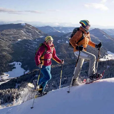 Grebenzen Edelweiss Dom wakacyjny Sankt Lambrecht