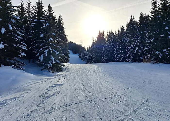 Grebenzen Edelweiss * Sankt Lambrecht