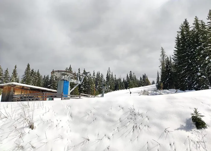 Grebenzen Edelweiss *